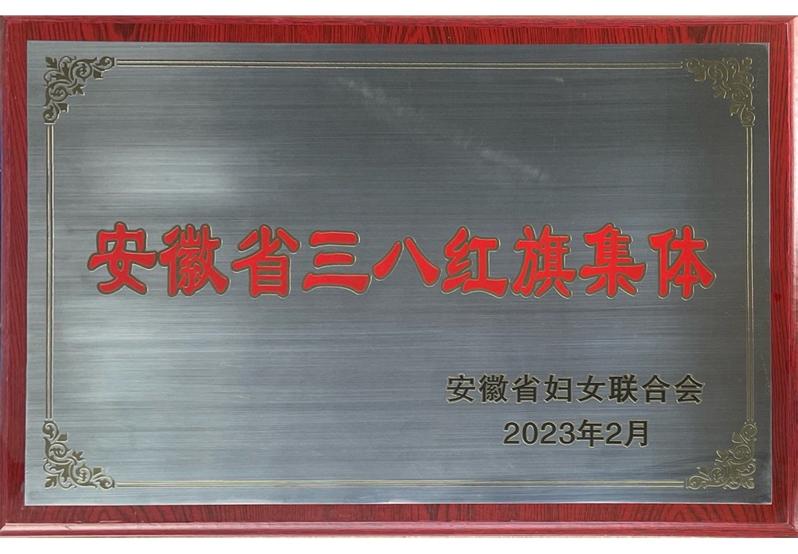 安徽省三八红旗集体